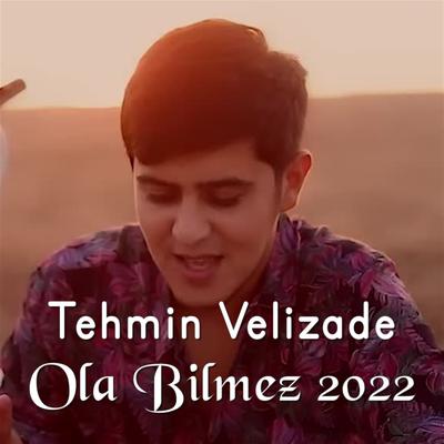Tehmin Velizade's cover