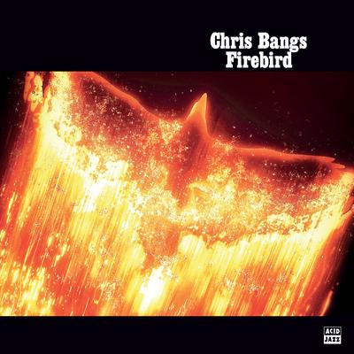 Chris Bangs's cover