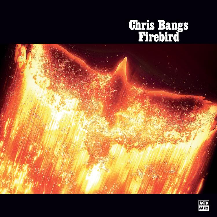 Chris Bangs's avatar image