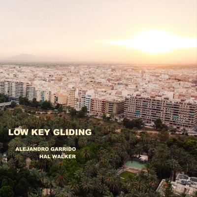 Low Key Gliding's cover