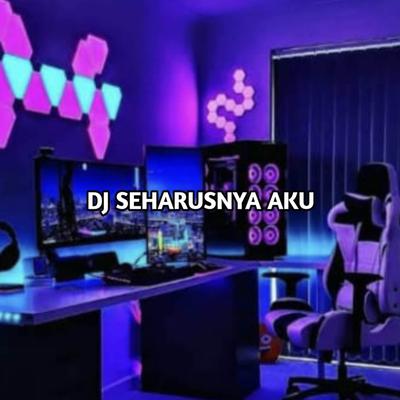 DJ Coba Kau Ingat Ingat Kembali Seharusnya Aku's cover