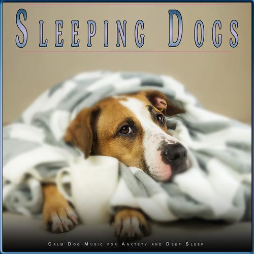 Music to help dogs clearance sleep