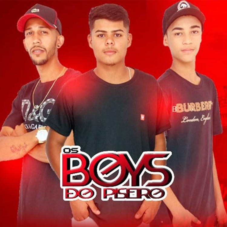 Os Boys do Piseiro Oficial's avatar image
