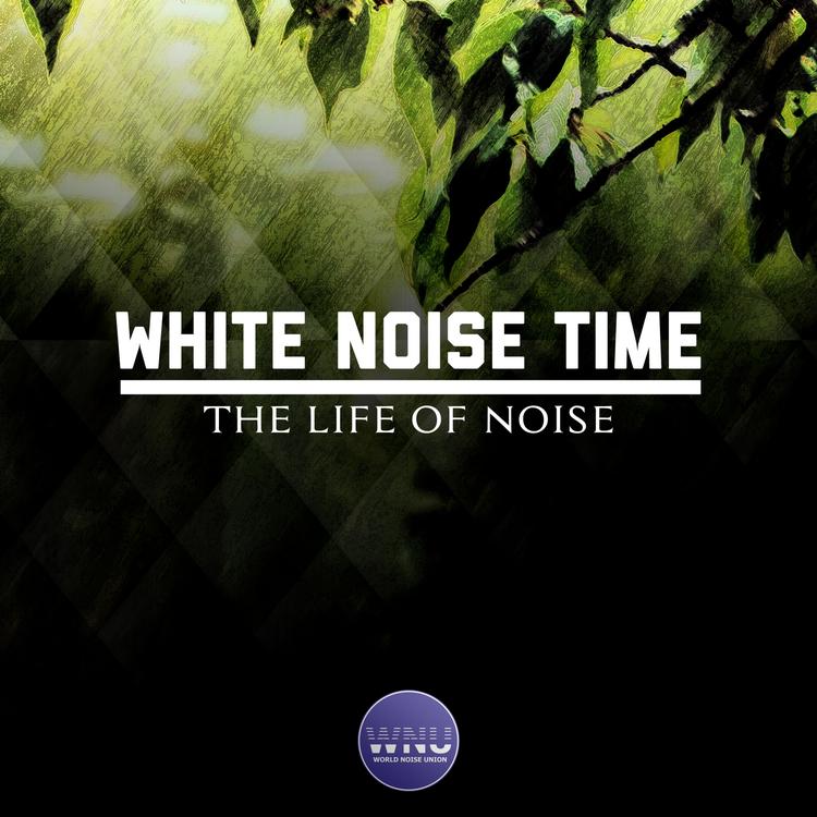 White Noise Time's avatar image