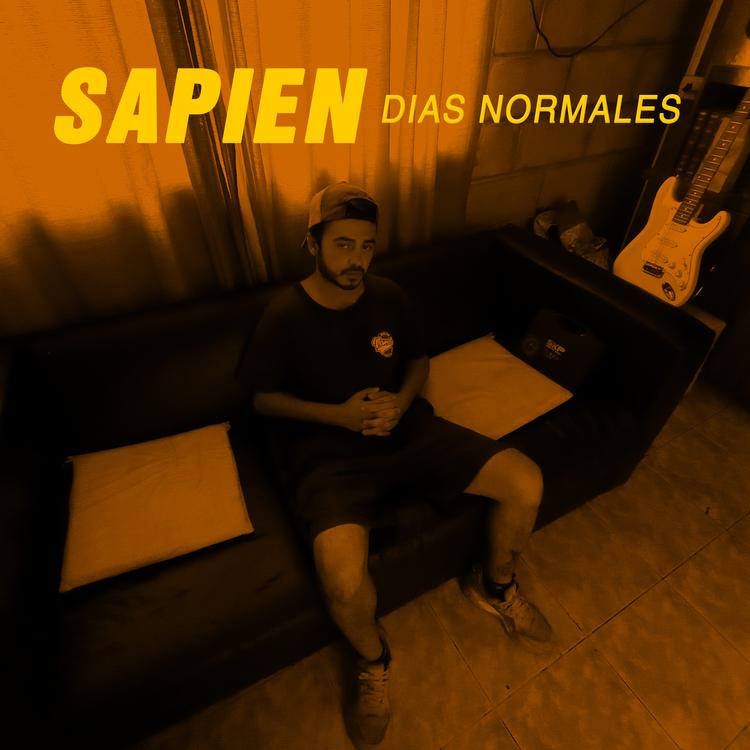 Sapien's avatar image