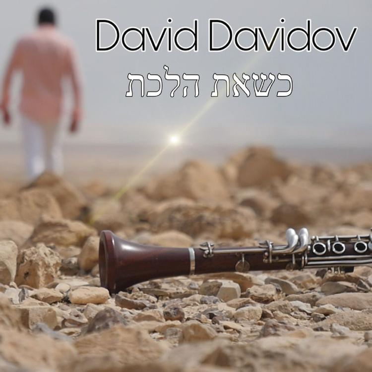 David Davidov's avatar image