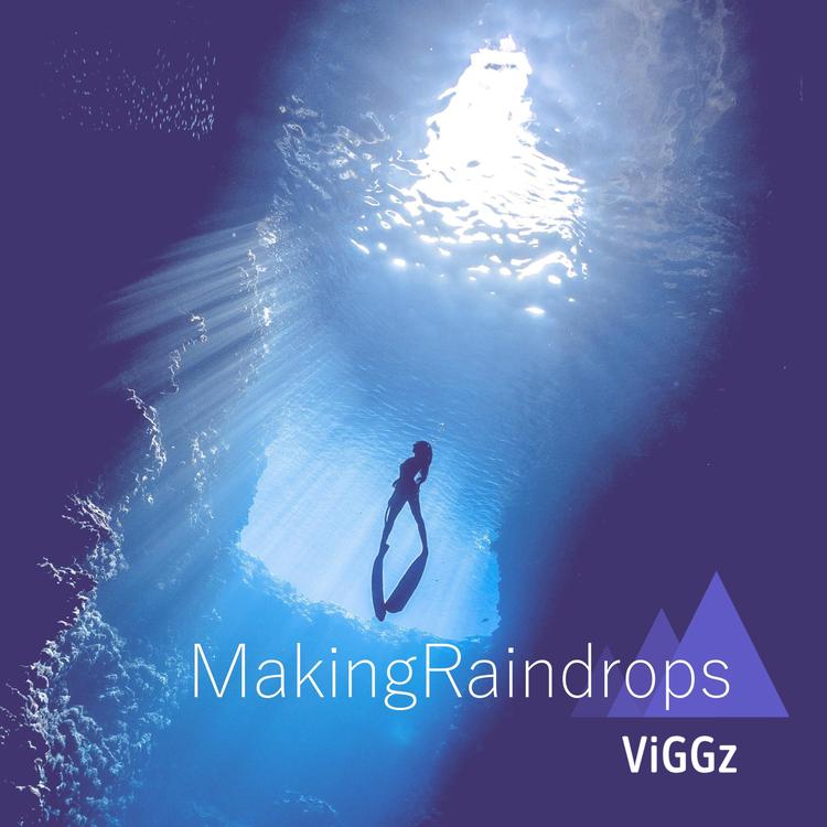 Viggz's avatar image