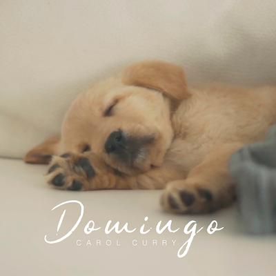 Domingo By Carol Curry's cover