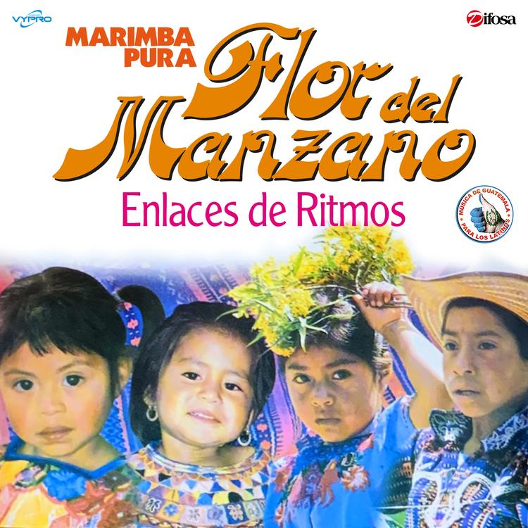 Marimba Flor del Manzano's avatar image