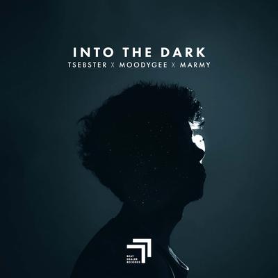 Into the Dark By Tsebster, Moodygee, Marmy's cover