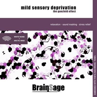 Mild Sensory Deprivation: The Ganzfeld Effect By Brainsage's cover