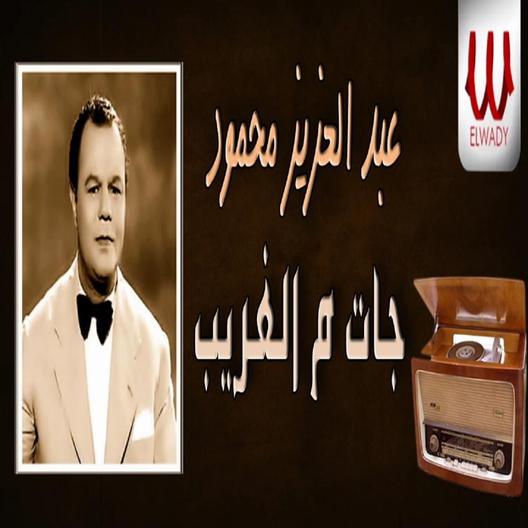 Abdel Aziz Mahmoud's avatar image
