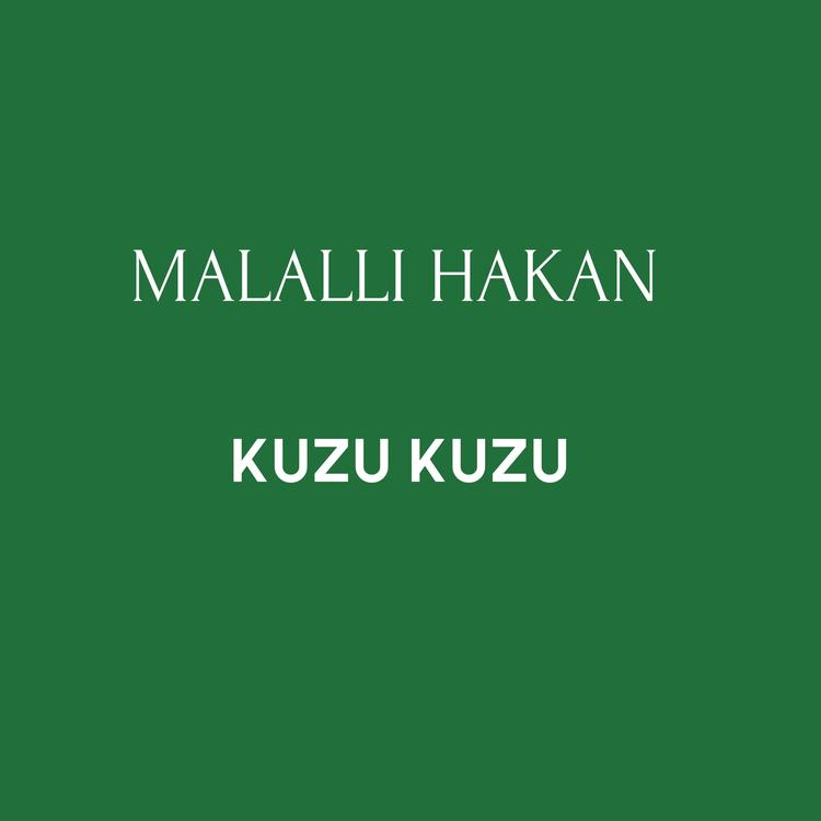 Malallı Hakan's avatar image