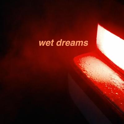 wet dreams's cover