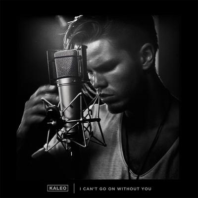 I Can't Go on Without You By KALEO's cover