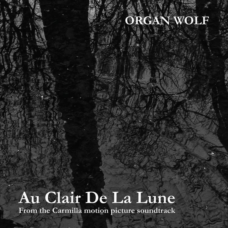 Organ Wolf's avatar image