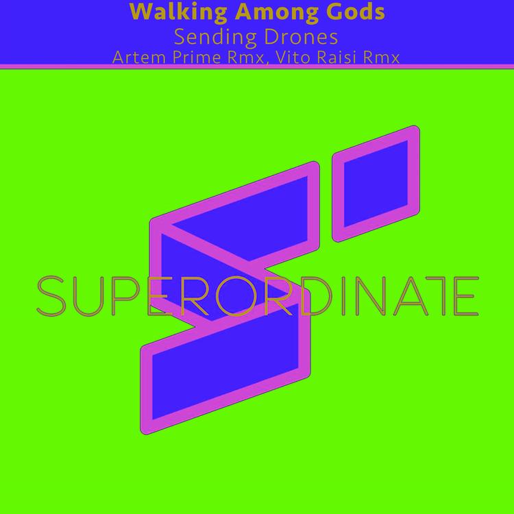 Walking Among Gods's avatar image