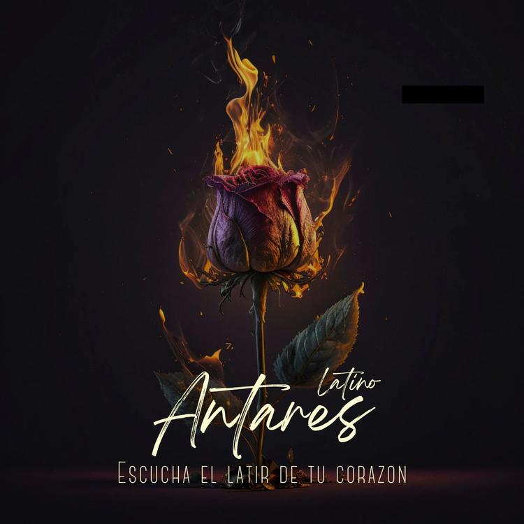 Antares Latino's avatar image