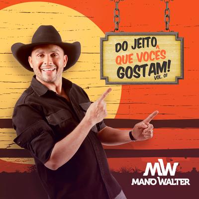 Pra Sempre (Vou te Amar) By Mano Walter's cover