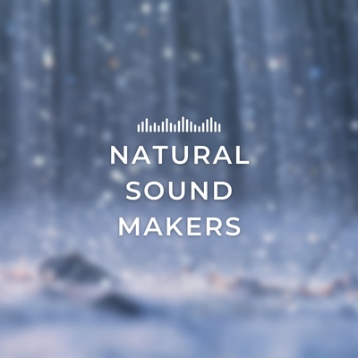 Falling Rain By Natural Sound Makers's cover