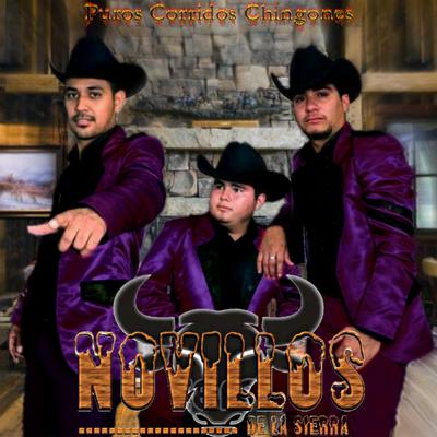 Puros Corridos Chingones's cover
