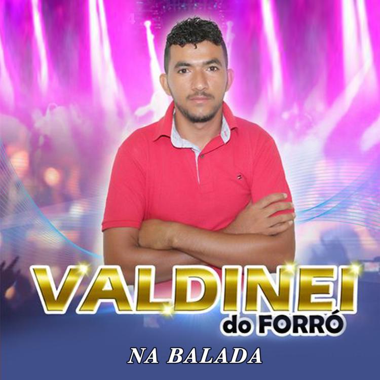 Valdinei Do Forró's avatar image