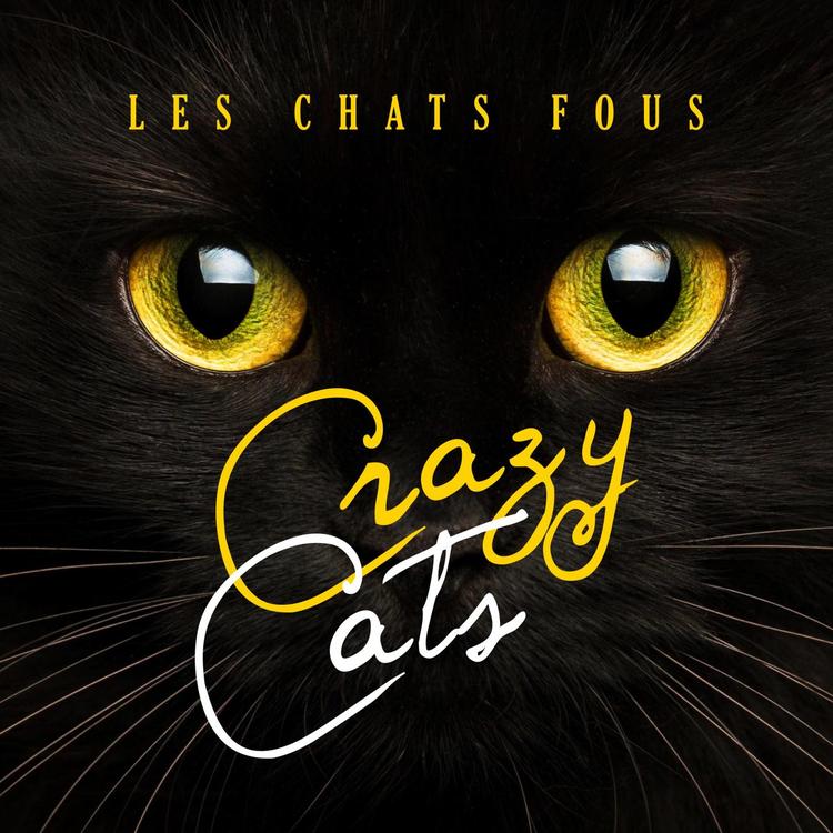 Crazy Cats's avatar image