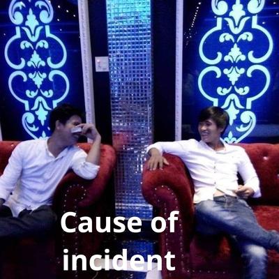 Cause of Incident's cover