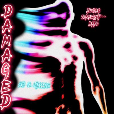 Damaged's cover