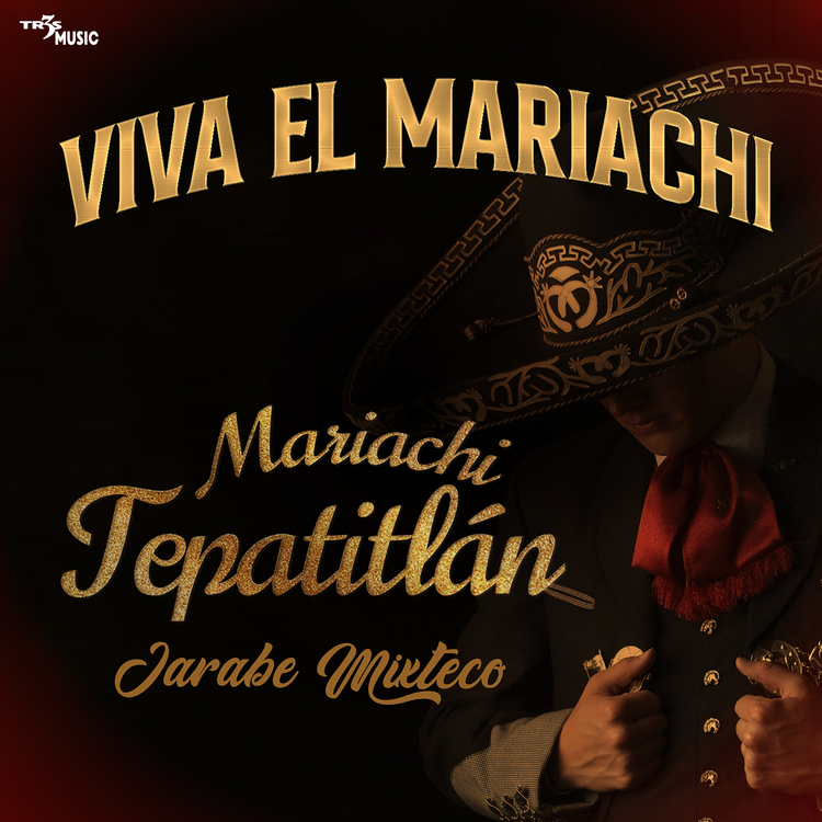 Mariachi Tepatitlan's avatar image