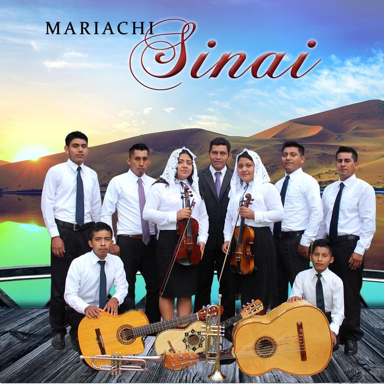 MARIACHI SINAI's avatar image