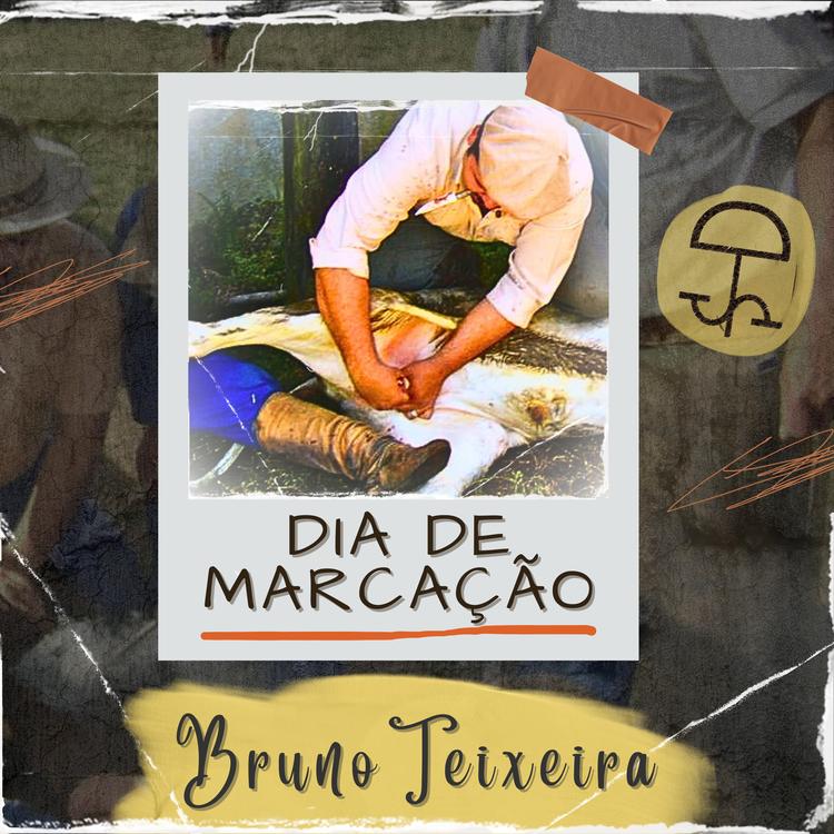 Bruno Teixeira's avatar image