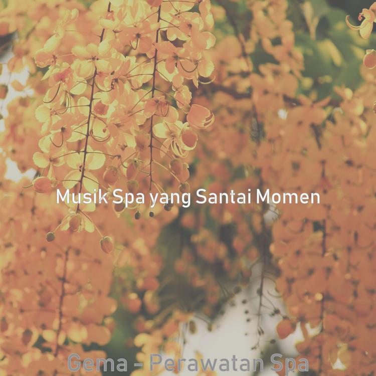 Musik Spa Yang Santai Momen's avatar image