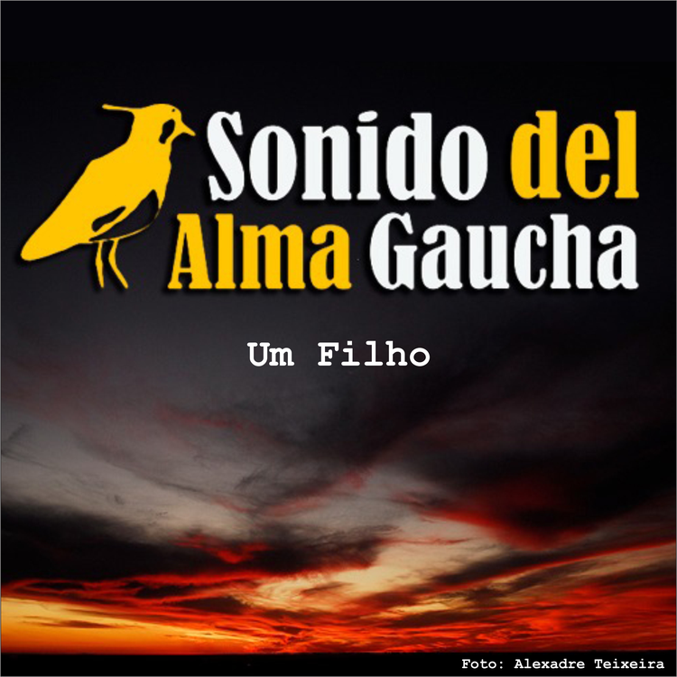 Sonido del Alma Gaucha's avatar image