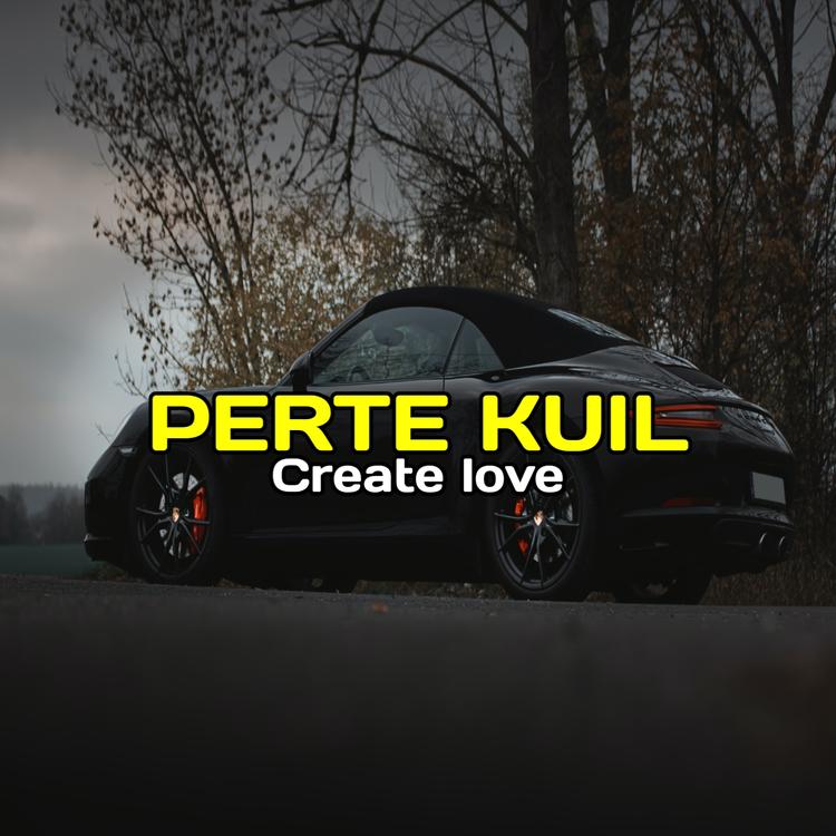 Perte Kuil's avatar image