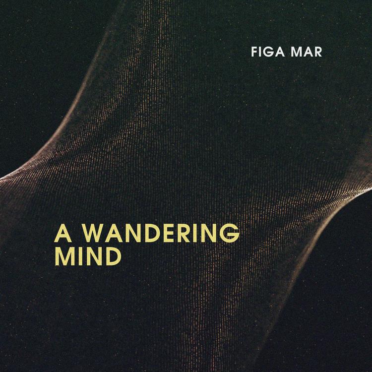 Figa Mar's avatar image