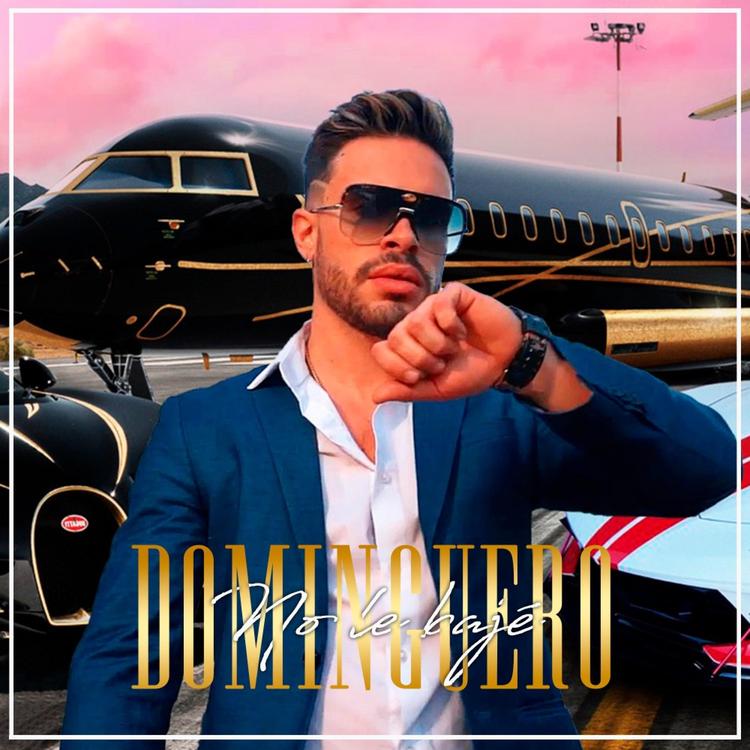 Dominguero's avatar image