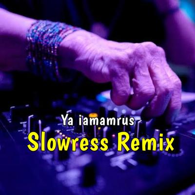 Slowress Remix's cover