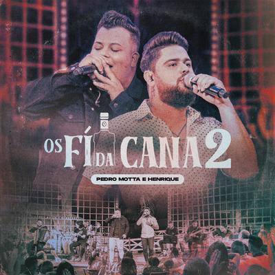 Os Fí da Cana 2 (Ao Vivo)'s cover