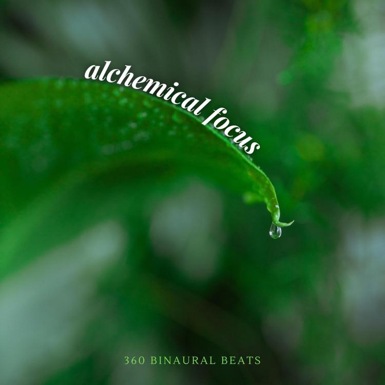 360 Binaural Beats's avatar image