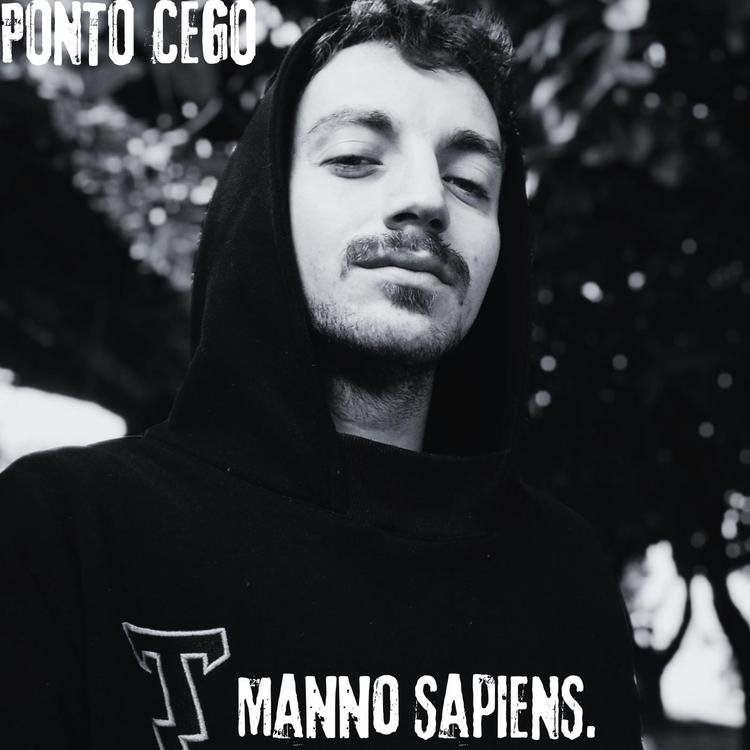 Manno Sapiens.'s avatar image