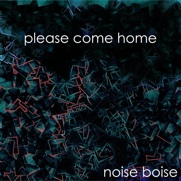 Noise Boise's avatar image