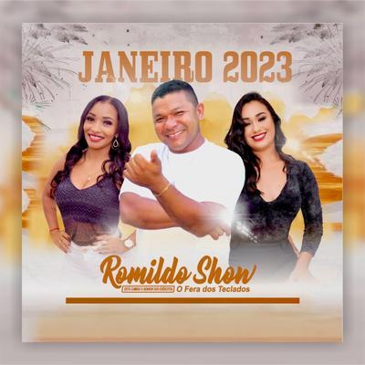 Volta pro Teu Vaqueiro By Romildo Show's cover