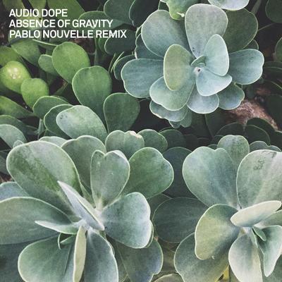 Absence of Gravity (Pablo Nouvelle Remix) By Audio Dope, Pablo Nouvelle's cover