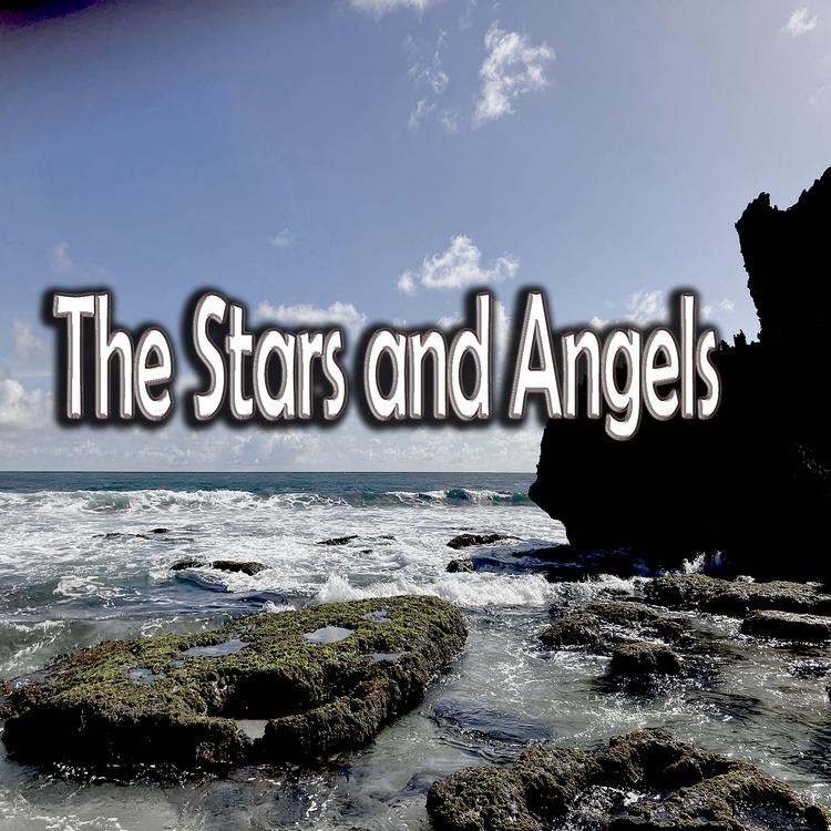 The Stars and Angels's avatar image