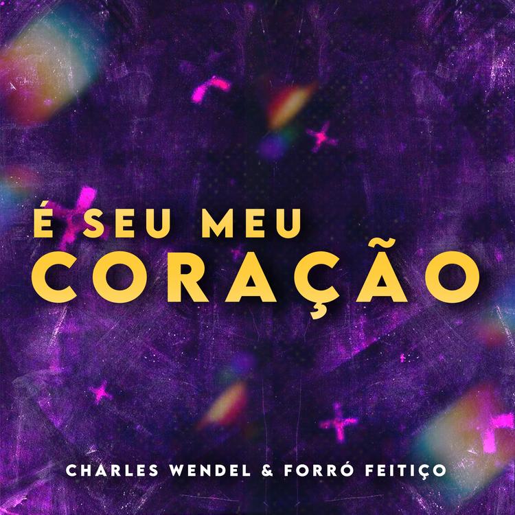 CHARLES WENDEL & FORRÓ FEITIÇO's avatar image