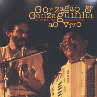 Grito De Alerta By Gonzaguinha's cover