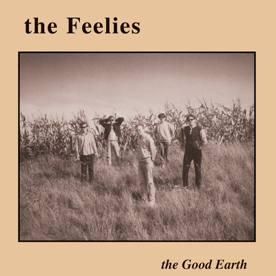 The Good Earth By The Feelies's cover