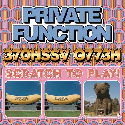 Seize & Destroy By Private Function's cover