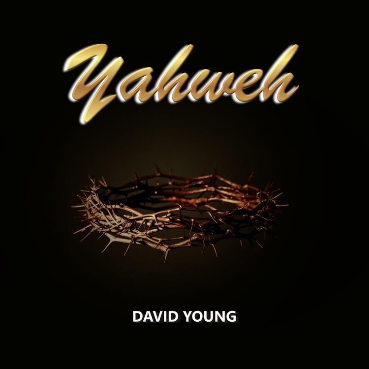 David Young's avatar image
